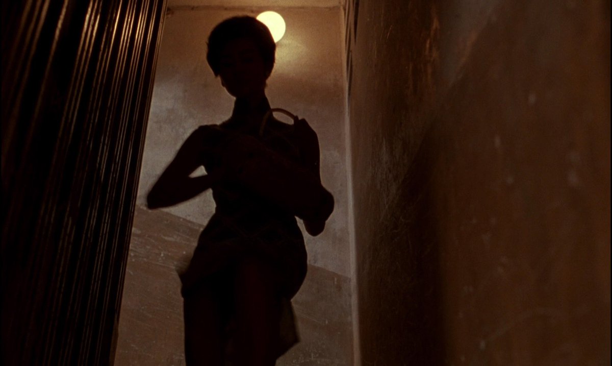 secretcinema1's tweet photo. Rebecca, 1940 
La Notte, 1961
In The Mood for Love, 2000
Ex Machina, 2014 @TheCinegogue @lecinema_ @WaynBrunsdon @WrongReel @TATJANASL @AlbertGalera @Stargazer_KEA @BradleyjKornish @UlteriousFilm @PINNLAND_EMPIRE @CinemaVsDave @ArtFilmCinema @cnu_aceob https://t.co/ev8Fab4V5y