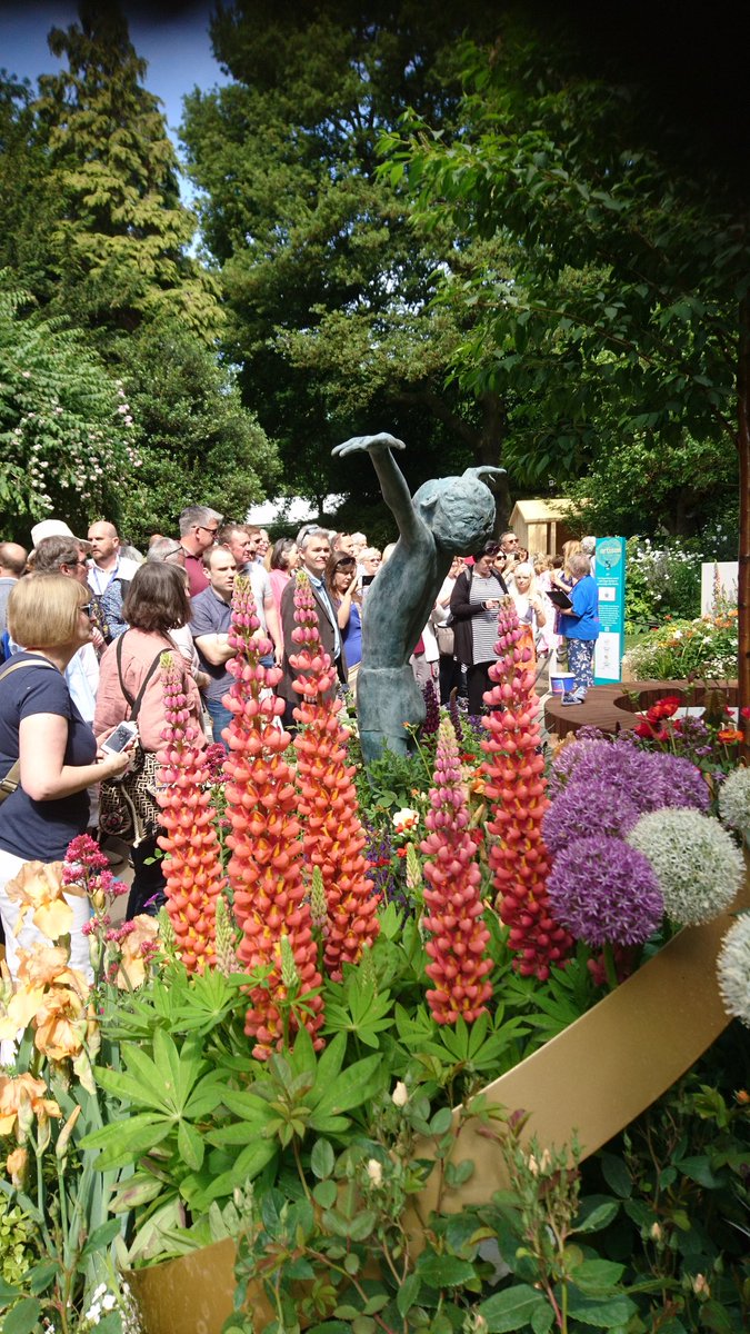 alisonellisbell's tweet photo. @willsart King of the Castle in the Laced with Hope artisan garden at #ChelseaFlowerShow https://t.co/r4eYbhdR9n