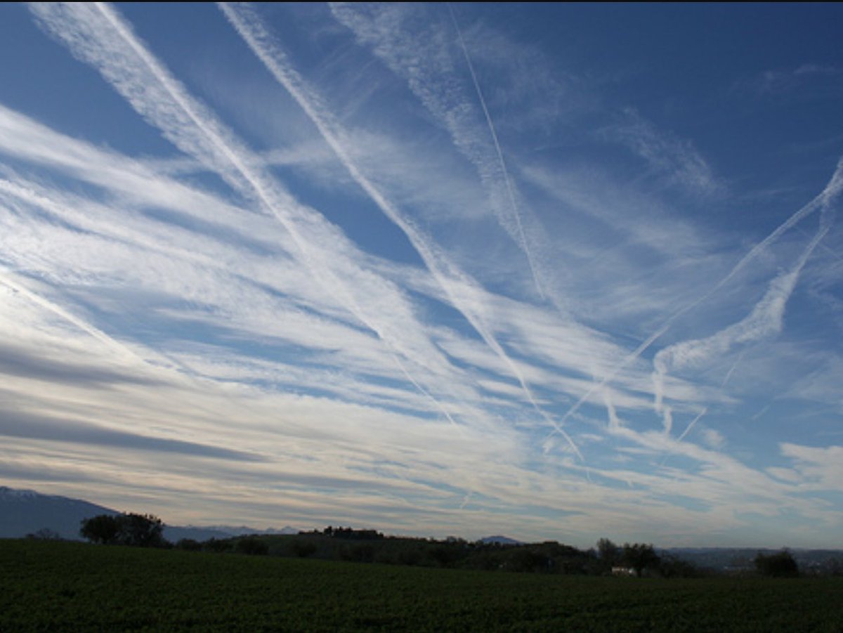 mapepagg's tweet image. Estoy esperando que #Evole nos descubra la verdad sobre los #chemtrails que invaden el cielo sobre nuestras ciudades, casas, colegios... Ahora tb por la noche.