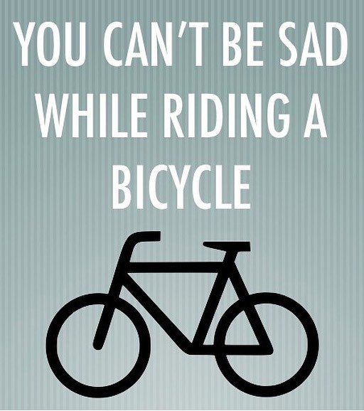 TWDSF's tweet photo. Daily PSA from your friends here at TWD. #pedalitout #bikelife #goforaride #instanthappy #freshair #bike #love #twdsf https://t.co/0Leb6cq0kW https://t.co/c0X9u2WzP2
