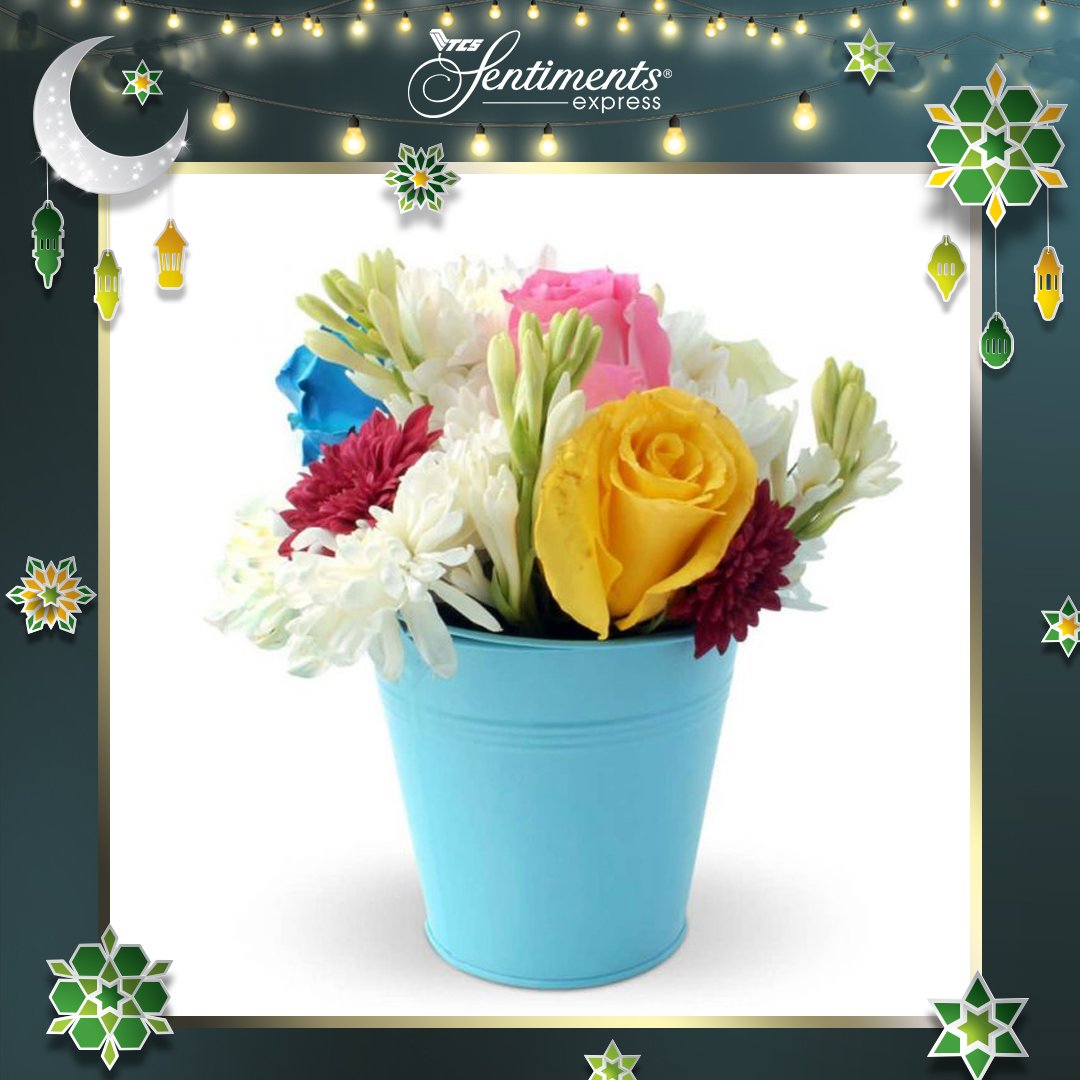 TCS_Sentiments's tweet photo. This little tin bucket filled with flowers will certainly prove to be a cheerful surprise for the recipient.
Product Link: https://t.co/a2fmeRuZcJ
Tag your loved ones :)
.
.
.
#tcs #sentiments #flowers #ramadan #giftidea #gift #bestgift #Pakistan https://t.co/2dggxhRttO