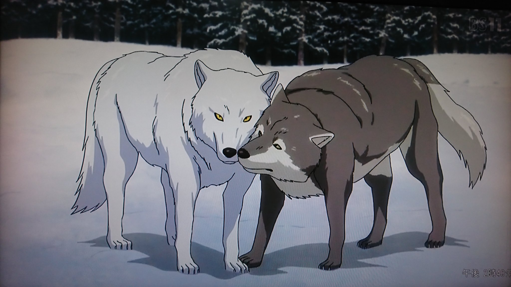 十六夜 隼人 レタラの家族 ゴールデンカムイ レタラ オオカミ 強い 可愛い 十六夜 隼人 レタラの家族 ゴールデンカムイ レタラ オオカミ 強い 可愛い