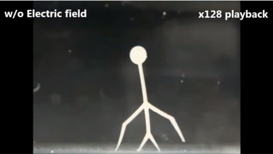 MyBotRobot_com's tweet image. Robots blanditos de hidrogel creados con impresora 3D
Hipnotiza y relaja  ver cómo manipulan, cómo se mueven o cómo andan...

Observa:
mtr.cool/eaxnwrw

#HydrogelRobots #Robotica #MyBotRobot