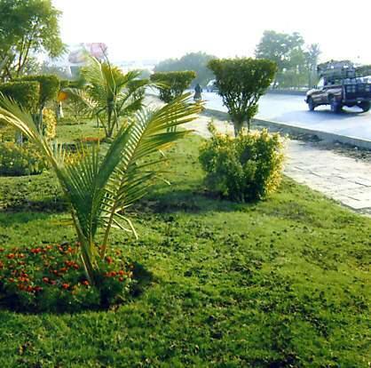 alifiya_aun's tweet image. Lets make Karachi green rather than just having Green line bus Projects !! Lets plants trees today ...to have the time and energy to enjoy Green line Bus service too !!#KarachiNeedsTrees #DoNow #TimeToAct