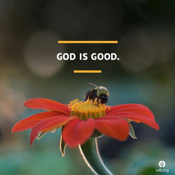 I am convinced that neither death nor life neither angels nor demons neither the present nor the future nor any powers neither height nor depth nor anything else in all creation will be able to separate us from the Love of God that is in Christ Jesus our Lord. (Rom8:38-39)❤️