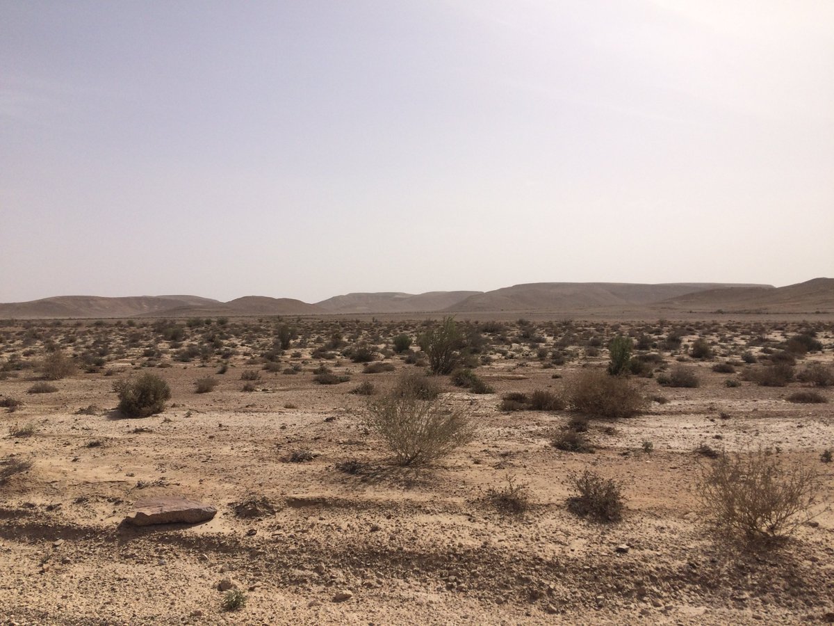 LeicaBirding's tweet photo. We just love #birding in Israel! 

#throwbackThursday #COTF2018 https://t.co/qg61rcAhBp