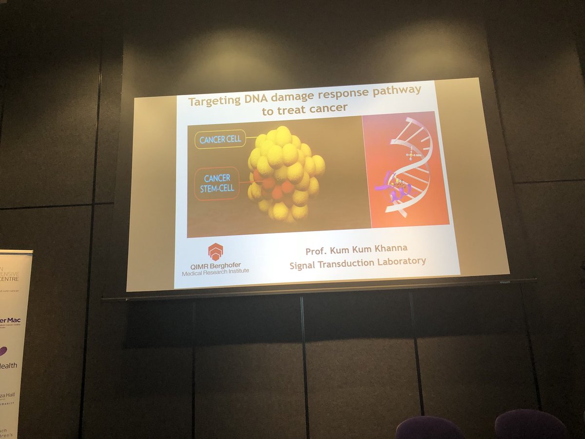 Australian leading cancer researcher on DNA repair Prof Kum Kum Khanna speaking at the VCCC Symposium on targeting DNA damage response.
Great talk linking basic science and cancer therapy 
@VicCompCancerCr #TargetedTherapies