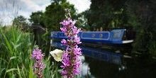 onboardtfs's tweet photo. The Canal is such a wonder and we are blessed to be able to provide you with unforgettable memories on board of our boat. @canalrivertrust has put a lovely article together that help us understand the history of it and remind us how lucky we are #London https://t.co/BjHag6qJCQ https://t.co/ni7eUO4us1