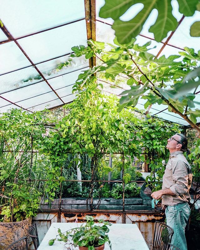 Struggling to live up to the intense pressure of being a good plant parent? Don’t fear. Greg, our in-house horticulturalist is here! Follow the link in our bio for our indoor plant styling and propagation workshops. 🌿🍃🌱🌵✨ #thegrounds #greenthumb … ift.tt/2kl5BS4