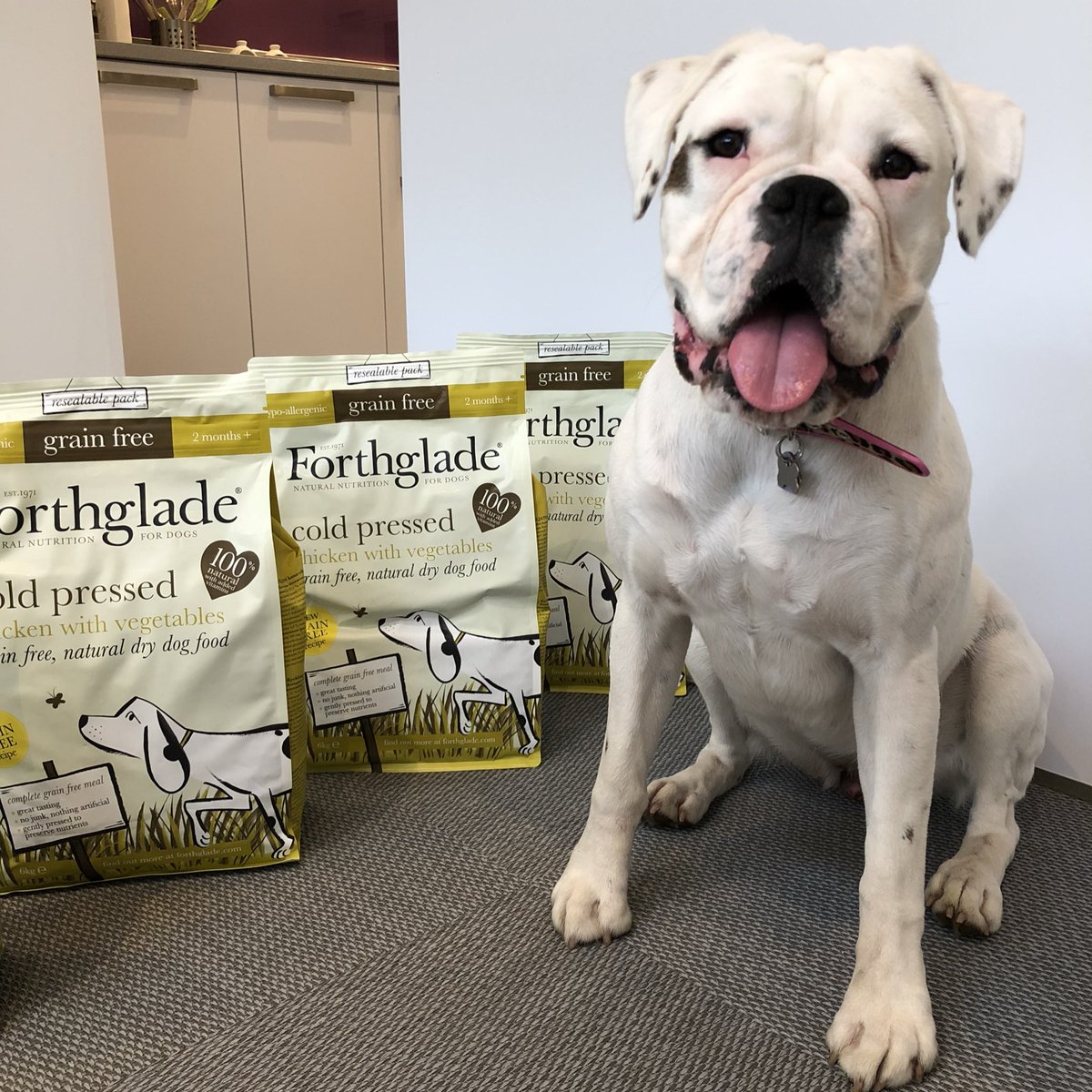whiteboxerlayla's tweet image. Love it when the delivery man arrives with my @Forthglade cold pressed food 😃😄😃 #laylathewhiteboxerdog #boxerdog #forthglade #dogsoftwitter #dogs @BoxerBond @BoxerDogUnion @dogcelebration