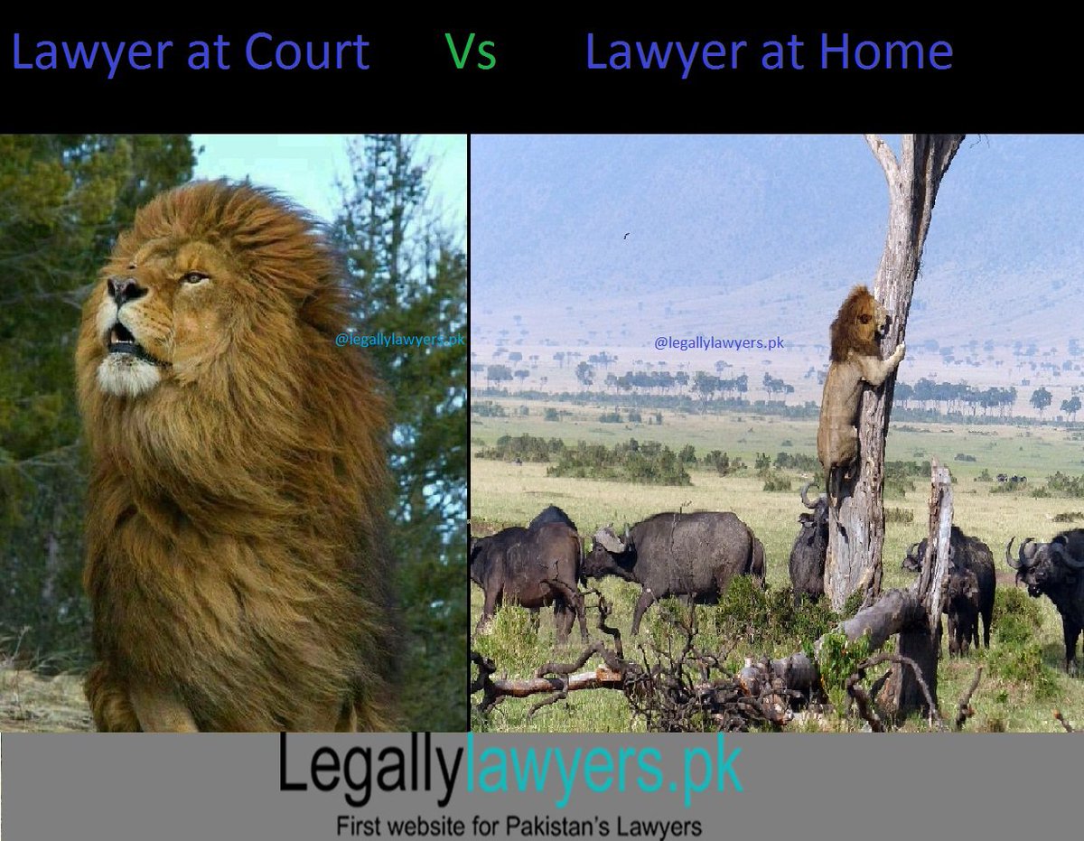 :D Funny But True :D Lawyers at Court Vs Lawyers at Home

legallylawyers.pk is a site design to promote Lawyers online
#Legallylawyers #Lawyers #Law #FunnyLawyers #FindLawyers