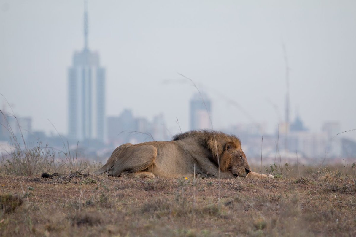 Stockholm Environment Institute (SEI) tweet media