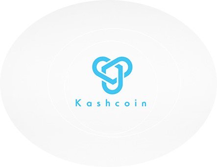 kashcoinNetwork tweet media