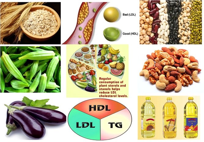 werindia's tweet image. This food will helps to prevent #cholesterol in your body

bit.ly/2G8FR45

#badcholesterol #goodcholesterol #healthylife #WeRIndia

Get the best health tips only on Healthylife.werindia.com