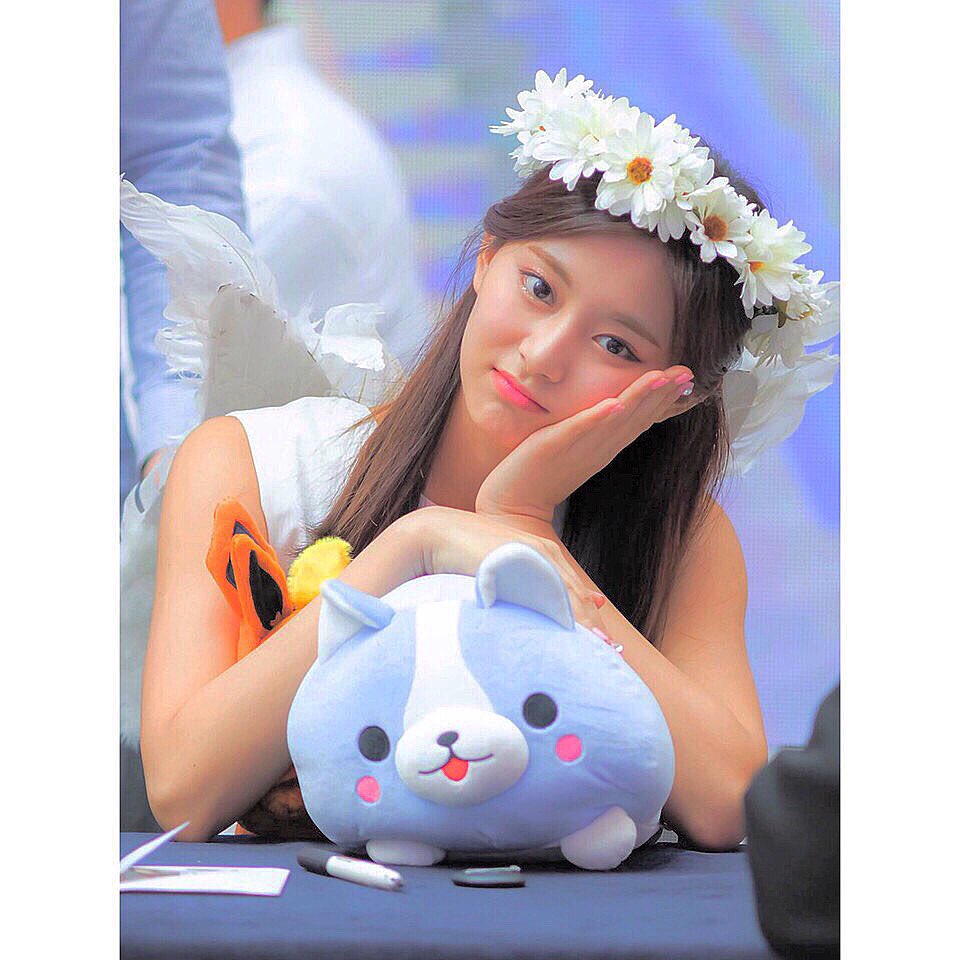TzuYuKanayan's tweet photo. 最近低浮上だごめんなさい(；；)
すんごくリムられてた。笑
リムらないでいて下さったonceの皆さんありがとうございます😿♥ https://t.co/btSN9TZkAJ