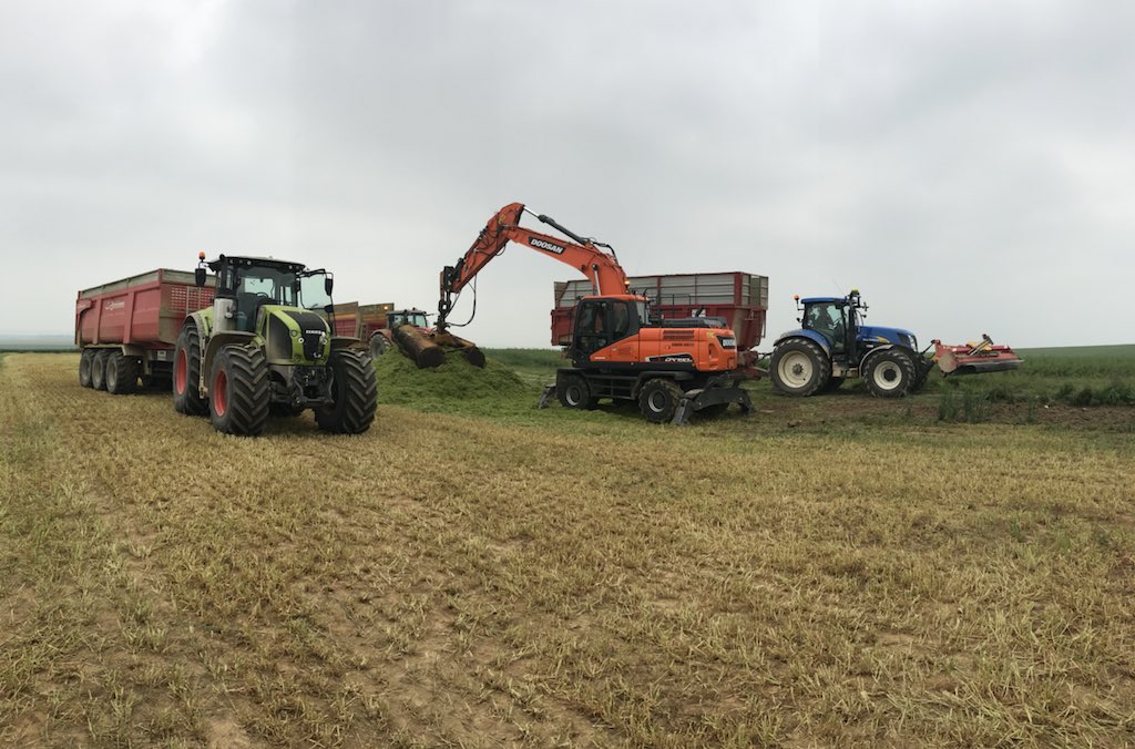 Cuma de Péroy tweet media