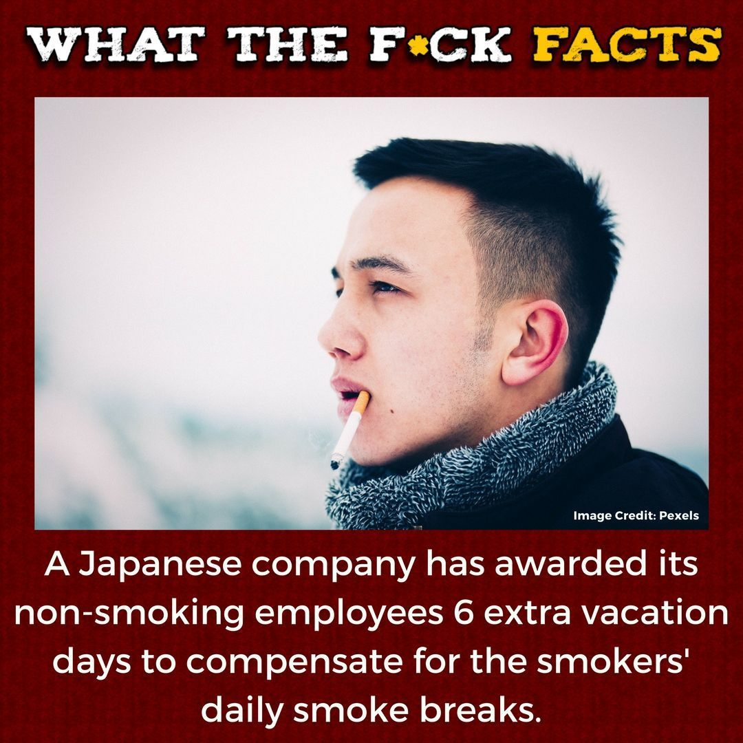 What The F*** Facts tweet media