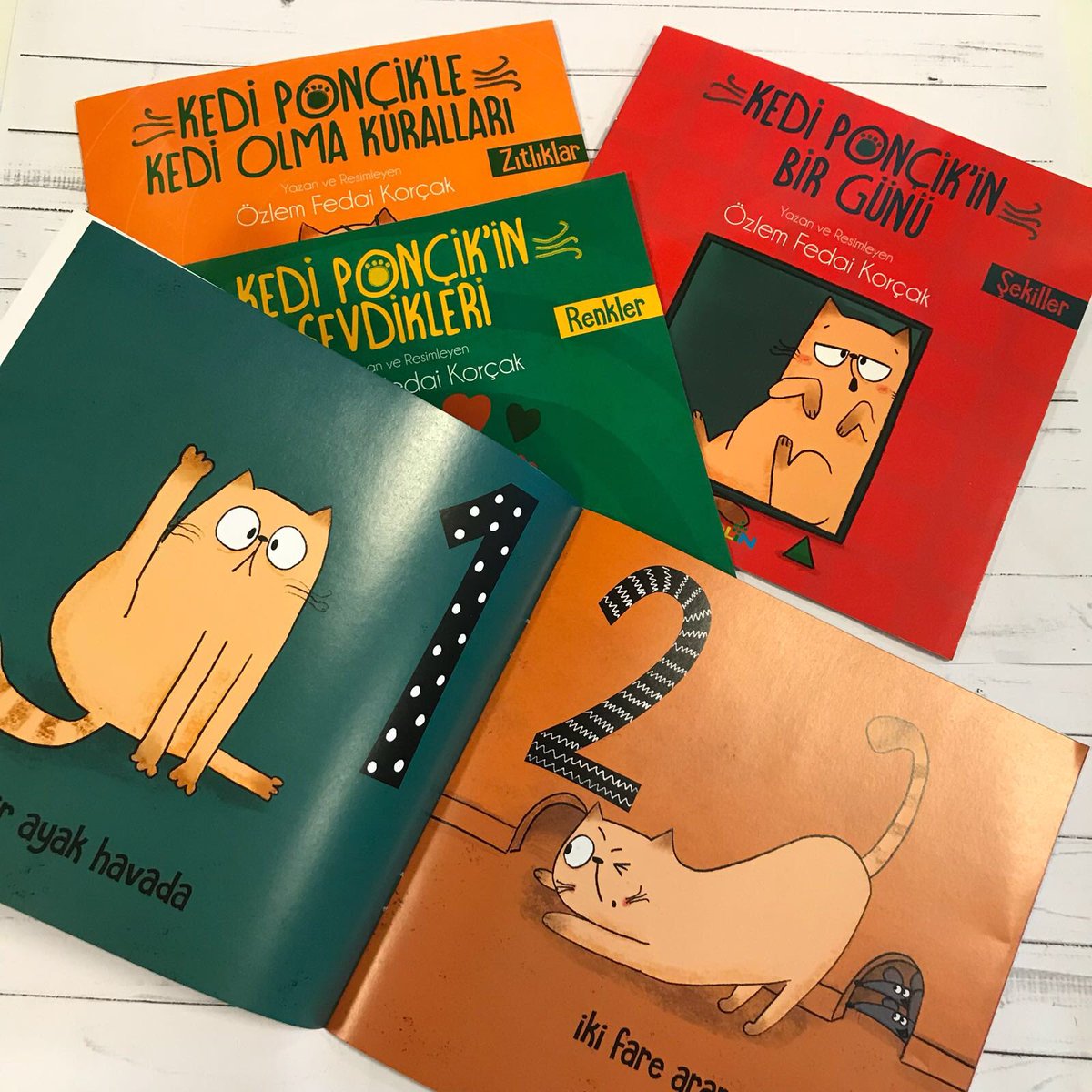 Ponçik yanaklı Kedi Ponçik biraz zıpır, biraz oyuncu…  Kedi Ponçik’le sayıları, şekilleri, zıtlıkları ve renkleri öğrenmeye hazır olun. Özlem Fedai Korçak’ın yazıp resimlediği “Kedi Ponçik” serisi inkilap.com ve tüm kitabevlerinde.
