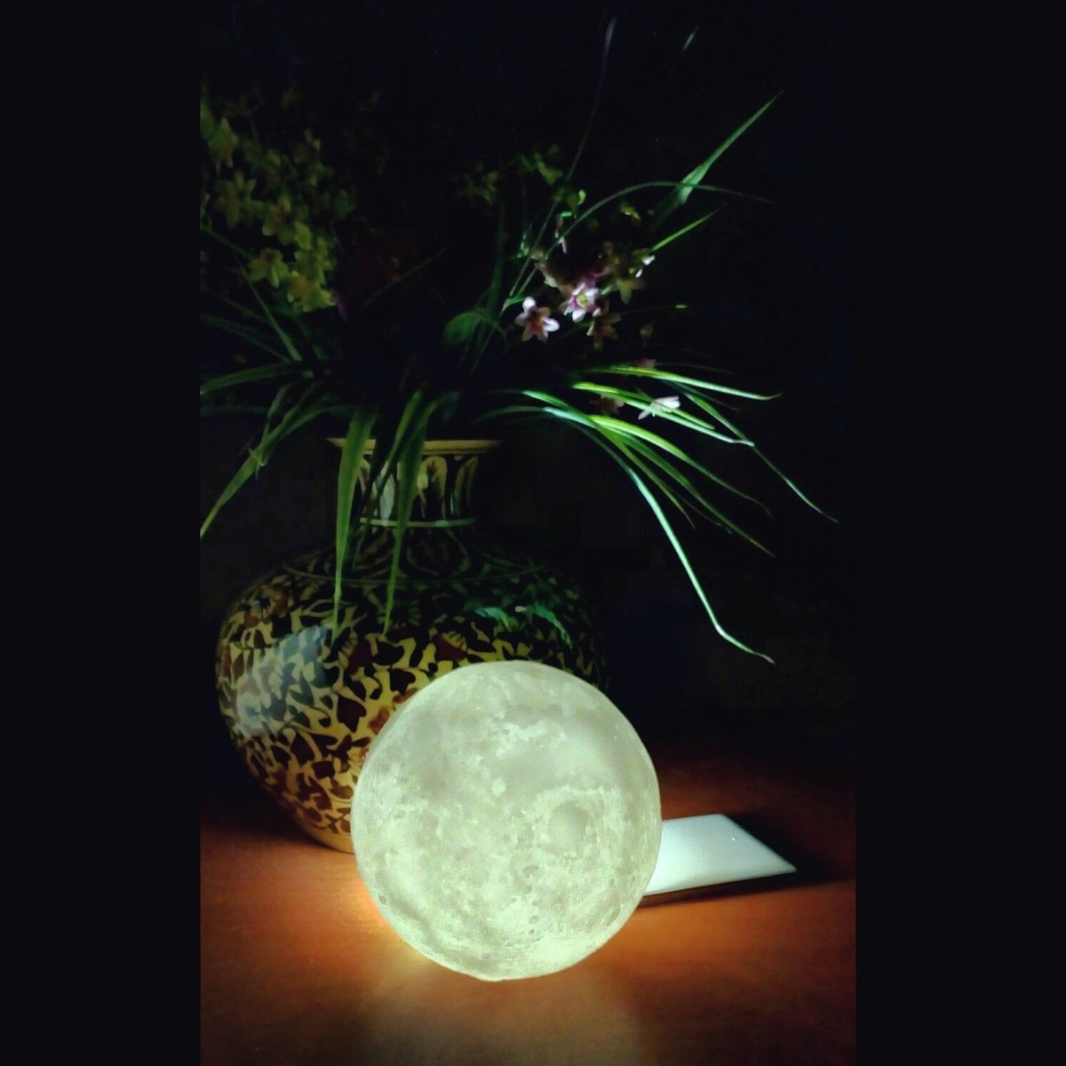 aintfortheweak's tweet photo. My own personal moon #3DmoonLamp 🌕🌜😍😍😍😍😍😘😘😘😘😘 https://t.co/mKG6kPE3ii