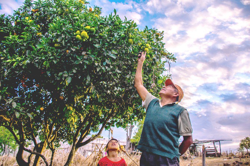 Boomstarter Network tweet media