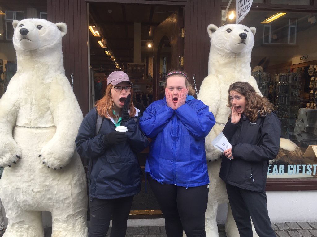 jbellmath's tweet image. On the streets of Reykjavík hotdogs,Vikings,and polar bears oh my!! #mhsbeyond