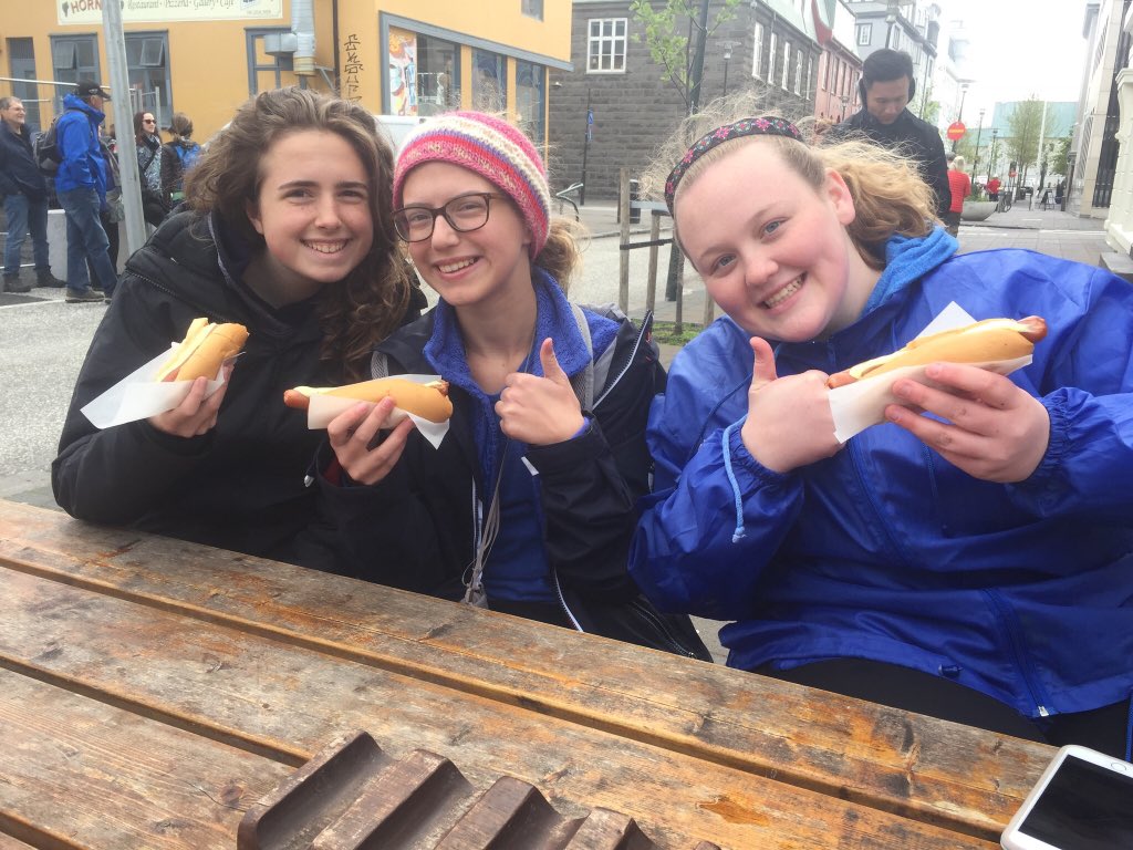 jbellmath's tweet image. On the streets of Reykjavík hotdogs,Vikings,and polar bears oh my!! #mhsbeyond