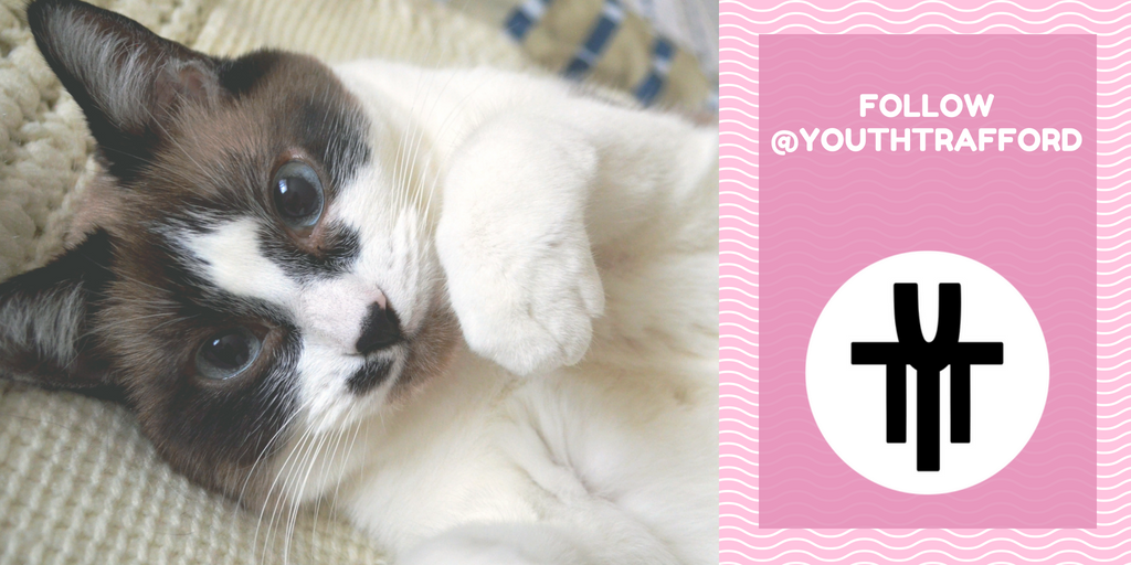 💌💖Can we get up to 500 followers by the end of this week ? #sharingiscaring RT 💖💌