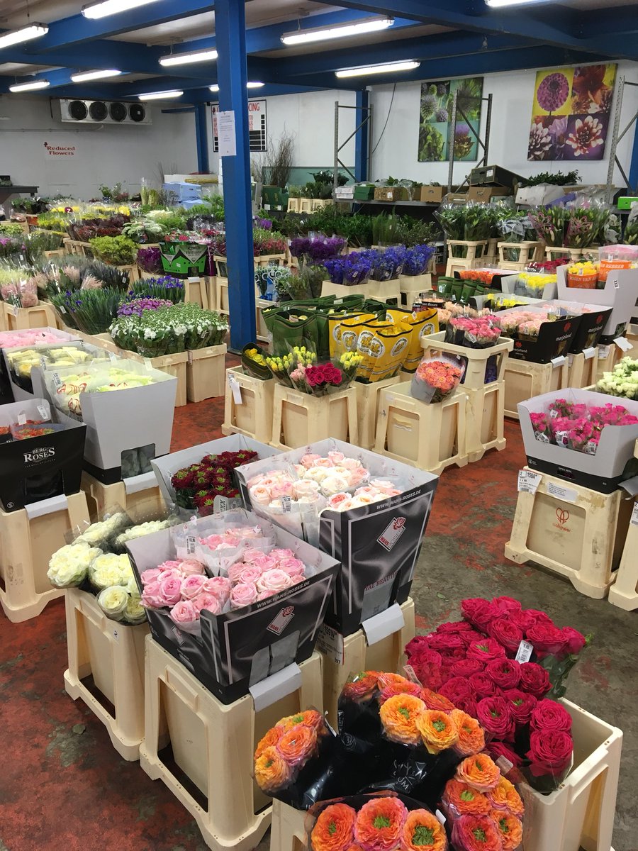 jvvccashton's tweet photo. Gorgeous selection of flowers for our opening evening tonight! @VanVLIETgroup @jvvccashton #wansroses #florist https://t.co/nDLvluTiDj