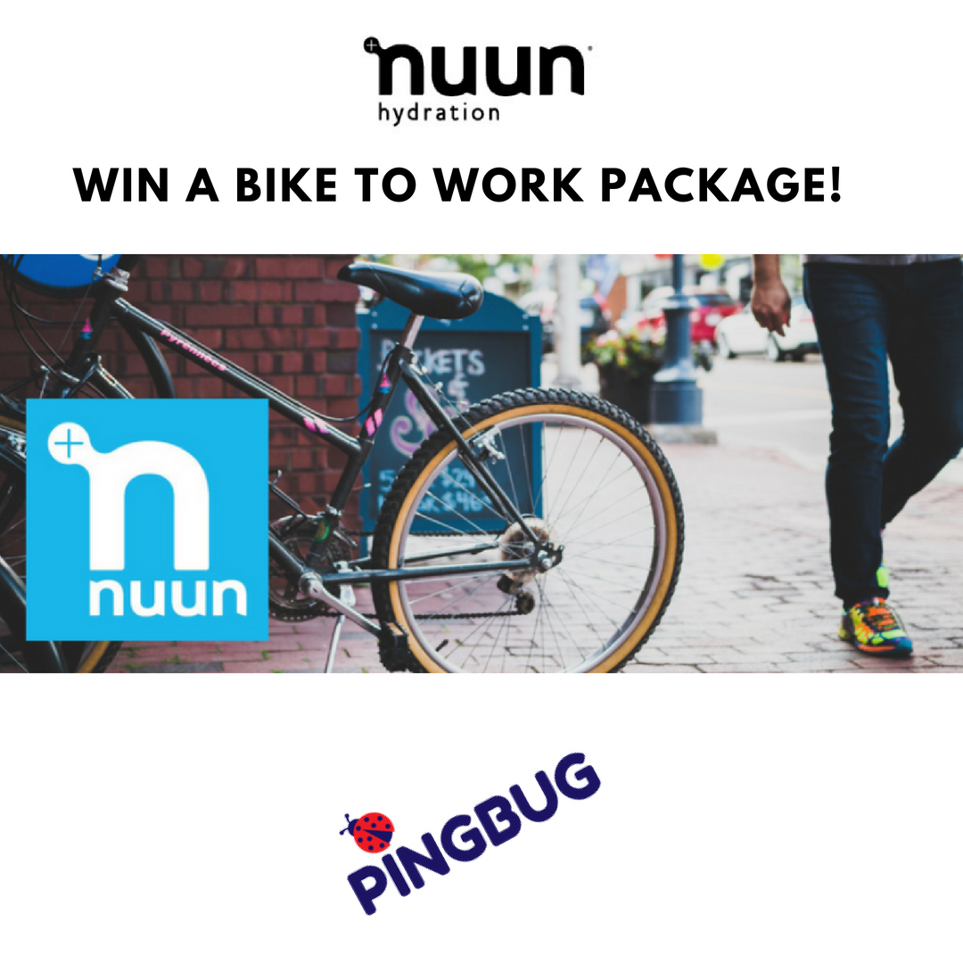 PingBugNews tweet picture
