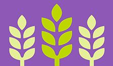ScotCancerFnd's tweet photo. What changes could you make to your life to reduce your risk of getting cancer? Simple but evidence based advice is available from the @WCRF_UK https://t.co/1LVATCMnNq #healthandcancer https://t.co/PdYsLObZAm