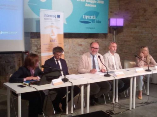 CNRsocial_'s tweet photo. #Ariel e #Dory per la #pesca e l'#acquacultura dell'#Adriatico _ La presentazione dei due progetti, in cui Ismar #Cnr di Ancona ha un ruolo rilevante, è avvenuta il 18 maggio alla Mole Vanvitelliana di Ancona durante la quinta edizione di #tipicitainblu https://t.co/LlOKFluOXH https://t.co/aS89HdYojZ