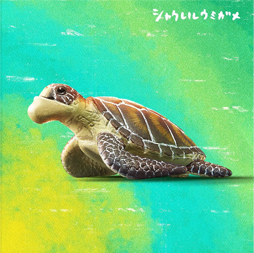 しゃくれる亀 かない