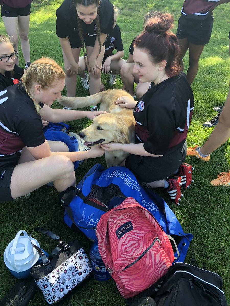 BMHSLanguages's tweet photo. Honorary Banting mascot wishes girls good luck before their quarter final game #maraudersrugby @BMarauders https://t.co/GjGx9lGOM4