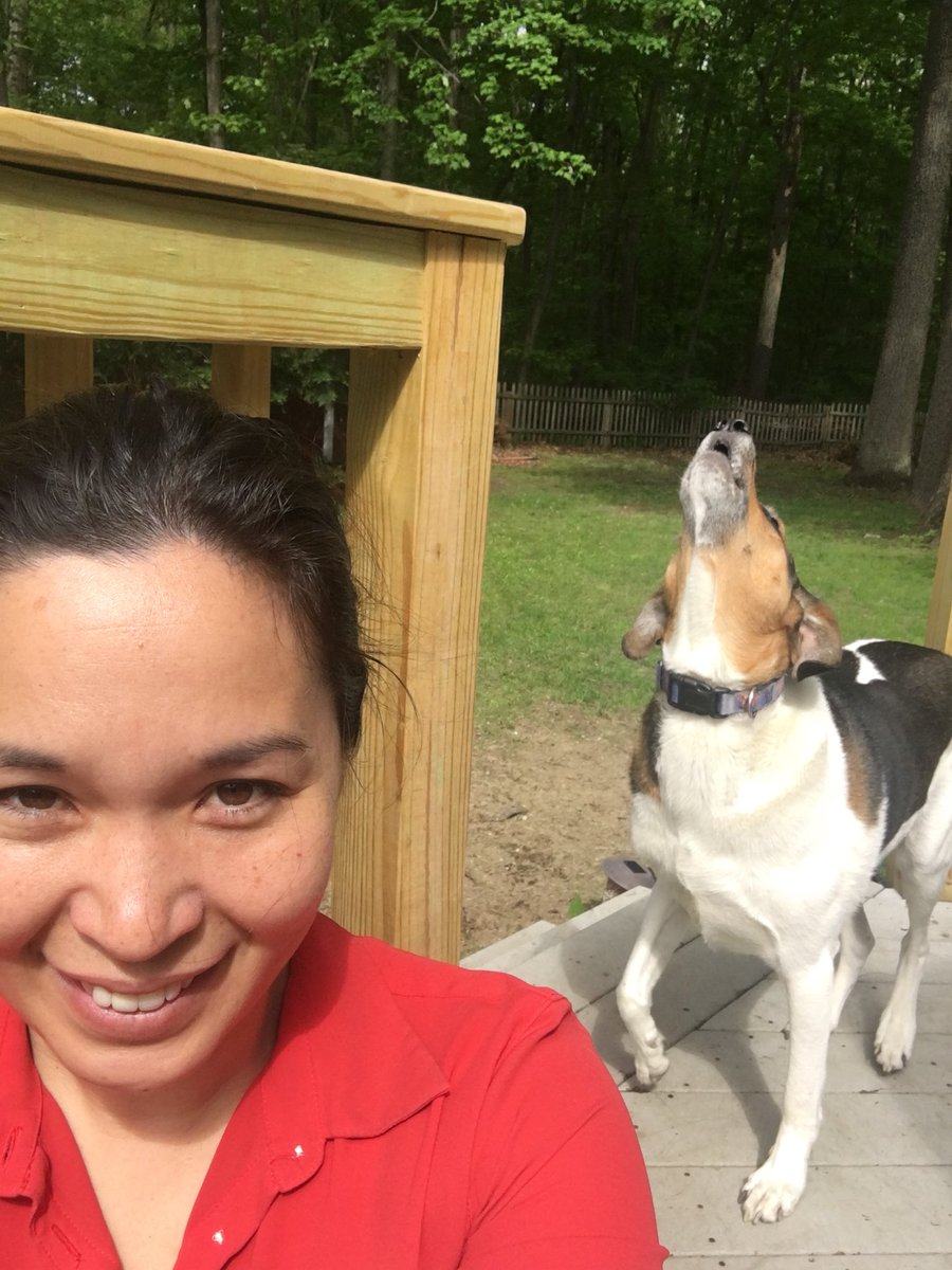 deirdreyee's tweet image. Home again, Marlo’s happy / howl-ey #Vermont #yousogreen #throwtheball