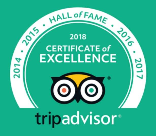 The Rosevine tweet media