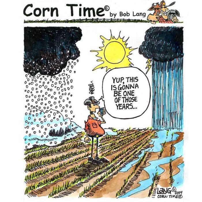 Kartaonline's tweet photo. It sure has been one of those years! The weather this year has been something... #KARTA #BadWeather #DroughtProblems #AgTwitter https://t.co/kHoCDfM3Ff