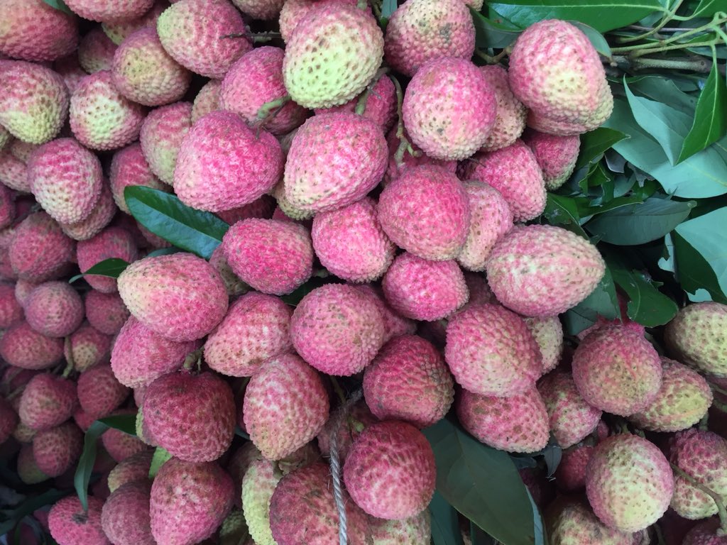 mainakde's tweet photo. #Indian summer #fruits have started flooding the markets - thank God! Luscious #Litches first batch of #mangoes but the time now is for those refreshingly juicy #TalSash also known as #Nungu &amp; #PalmFruit https://t.co/zPaNxdQcuv