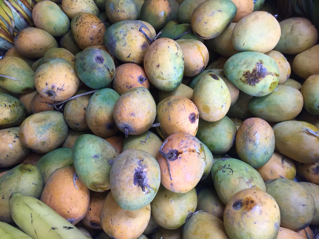mainakde's tweet photo. #Indian summer #fruits have started flooding the markets - thank God! Luscious #Litches first batch of #mangoes but the time now is for those refreshingly juicy #TalSash also known as #Nungu &amp; #PalmFruit https://t.co/zPaNxdQcuv