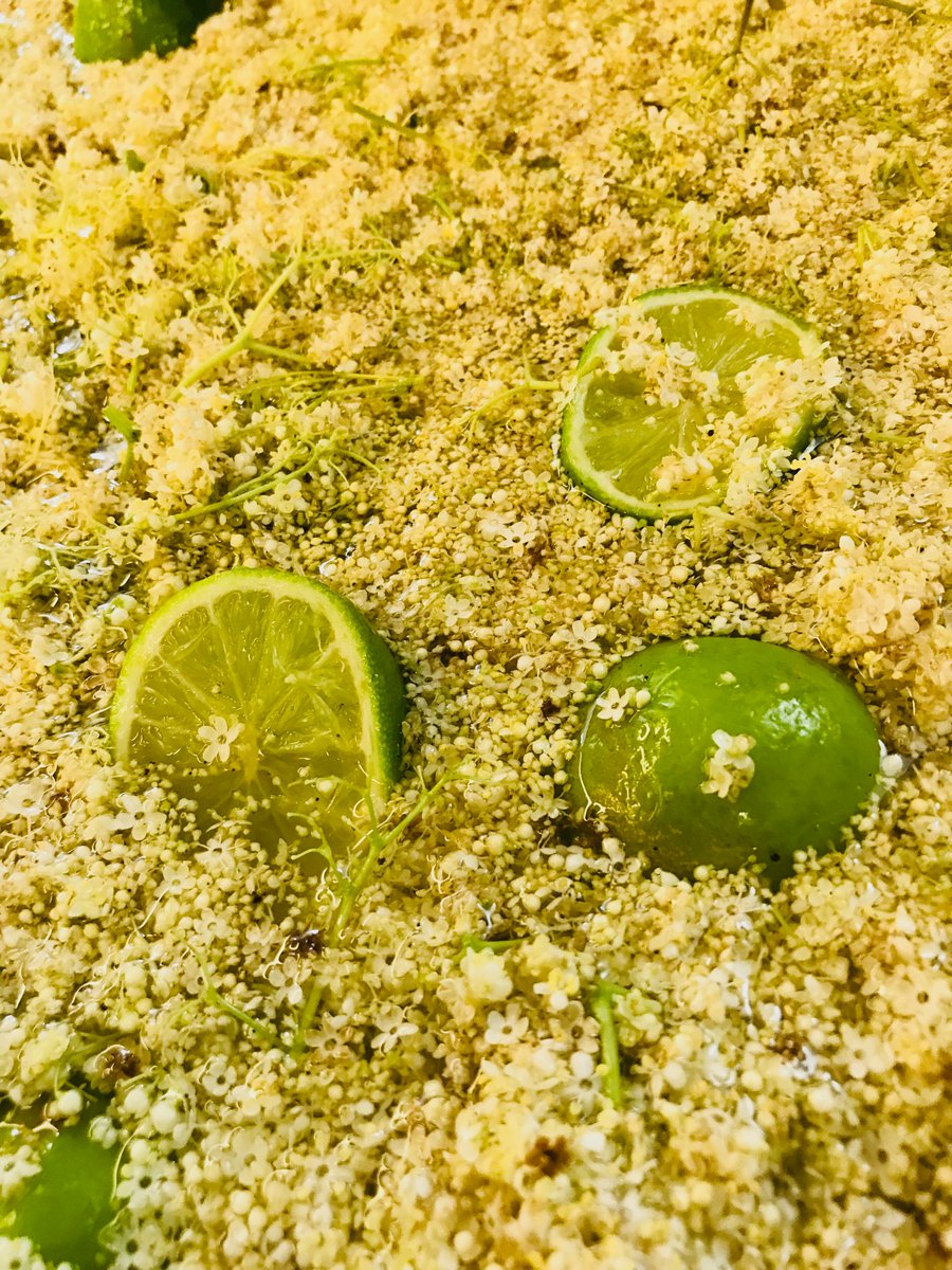 AubergeduCheval's tweet photo. L’infusion  est dans le bac                         Fleur de Sureau    #michelin.  #gaultmillau.  #lembach https://t.co/CsG6VGZqtv