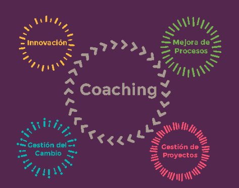CECoaching tweet media