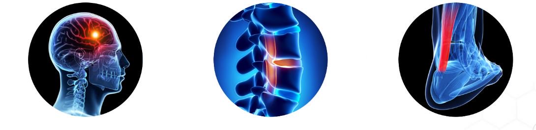 TissueGen's tweet image. Attending #MDMEast June 12-14? Visit with @TissueGen in booth 2003 to learn more about how ELUTE® fiber may help enable the #nextgen of #drugdelivery, #nerveregeneration and #tissueengineering. #AdvMfgExpo tissuegen.com/tissuegen-to-f…