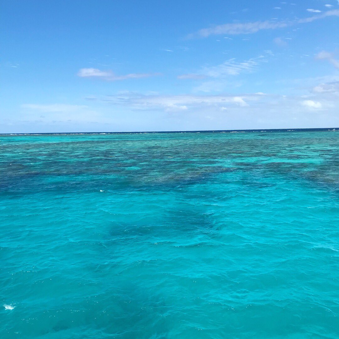 KaraHarris_'s tweet photo. God took his time creating this place!! So blessed. https://t.co/aUZBH3S919