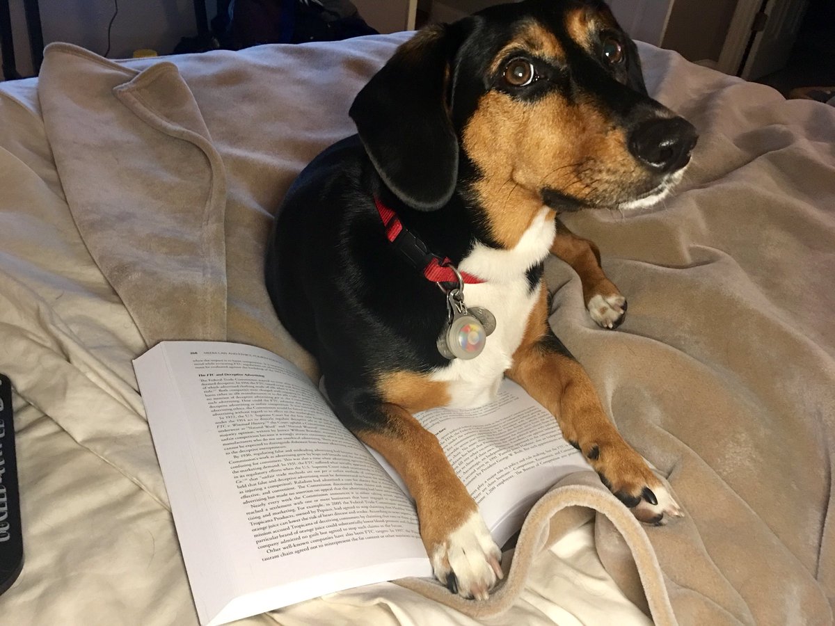 VanessaRuffes's tweet photo. Worst bookmark ever... OR IS IT?? 🤔😏 #dogearedpages https://t.co/Z8fu3rQkPx