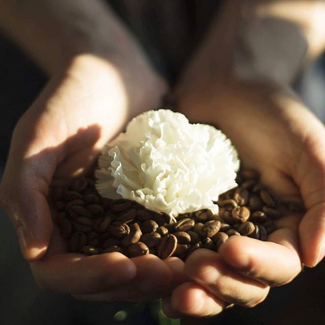 StoryCoffeeR's tweet photo. Kwiaty i pyszna kawa, to idealny prezent na dzień Matki!
Też tak uważacie? ☕ + 🌹= 😍 #coffeeoftheday #coffeeart #coffeeaddict #coffeetime #morning #coffeeshop #coffeelovers #coffeegram #coffeelover #hot #cool #coffeebean #coffeelove #beauty #instacof… https://t.co/oFeyEUERzQ https://t.co/cyLfocMaYF