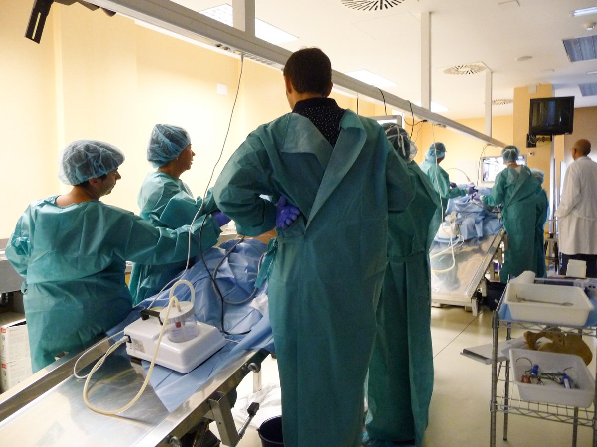 Empezamos el jueves con el segundo grupo de prácticas realizando colposacropexia por cirugía laparoscópica. ¡Nos espera un día intenso!

#mastersuelopelvUMH <a href="/UniversidadMH/">UMH</a> 
#suelopelvico #posgrado #medicina