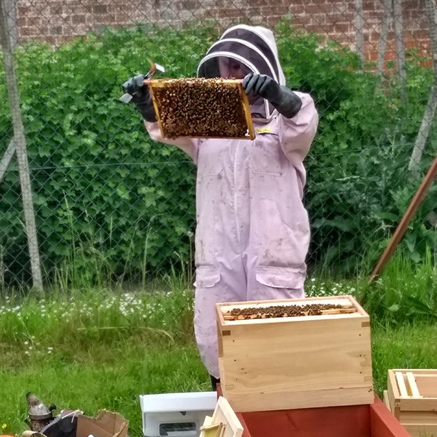 TheGrangeCentre's tweet photo. The #bees are back in town!
Thanks to Karen and Mike @SurreyBees our garden is buzzing again - wonderful news for our #WalledGarden (and of course really looking forward to the honey!)... https://t.co/Hlr8UdImGJ