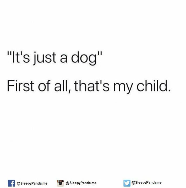 funwall0's tweet photo. https://t.co/mojQVfDP0T #funwall https://t.co/9lA5OrlqP2