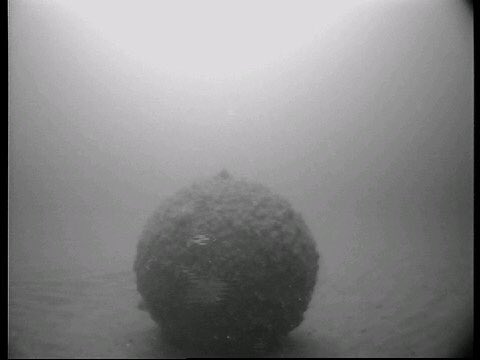 forsvaretdk's tweet photo. Mineryddere fra @forsvaretdk har været med til at fjerne gamle bomber fra bunden af Østersøen sammen med NATO’s minerydningsstyrke @NATO_MARCOM. Læs mere i Mission Update: 
https://t.co/tZWRi7naeh
#dkforsvar #værdatkæmpefor #OpenSpirit https://t.co/c92WYzgarB