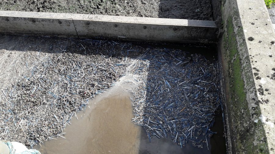 Flush cotton buds down your toilet? They can end up here... or even on your local beach. ☹️🌊👎

This pic was taken recently at our Milnathort Waste Water Treatment Works &amp; highlights the importance of only flushing the 3 P’s. sottishwater.co.uk/cycle #plasticpollution
