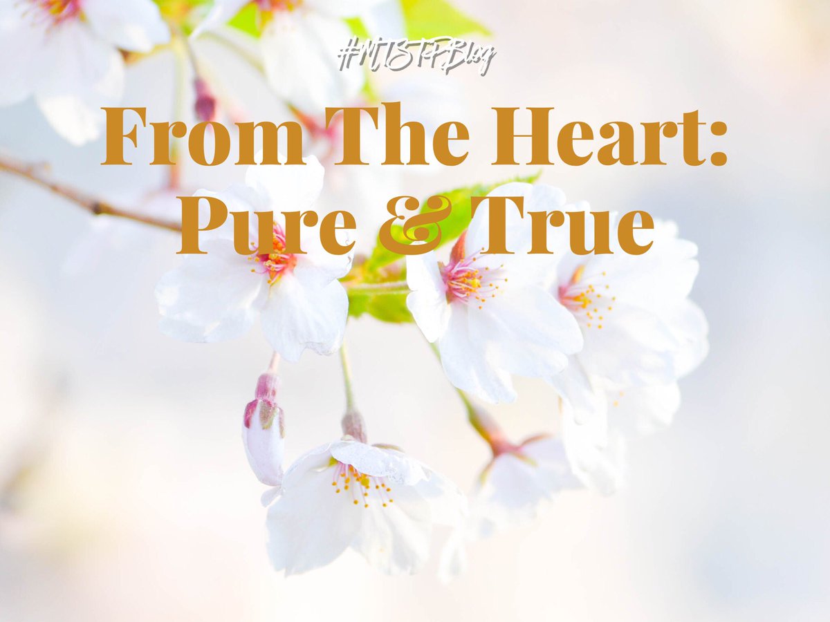 RiseAscend's tweet photo. **NEW** "From The Heart: Pure &amp; True" by @RiseAscend #MTSTPBlog https://t.co/bdXSjD80c3 🌸❤️✒️📜 https://t.co/lRoMEpOPQ5